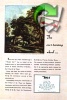 BSA 1941 01.jpg